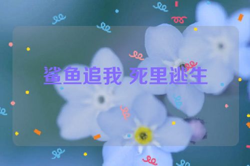 鲨鱼追我 死里逃生