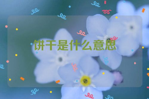 饼干是什么意思