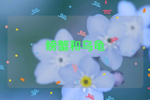 螃蟹和乌龟