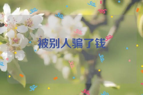 被别人骗了钱
