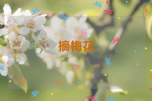 摘梅花