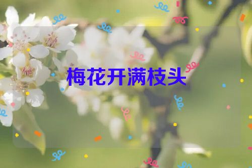 梅花开满枝头