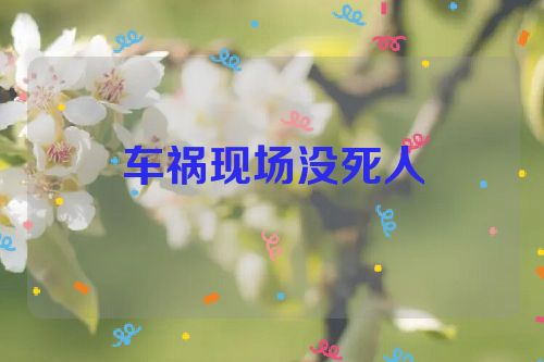 车祸现场没死人