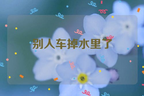 别人车掉水里了