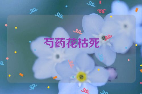 芍药花枯死