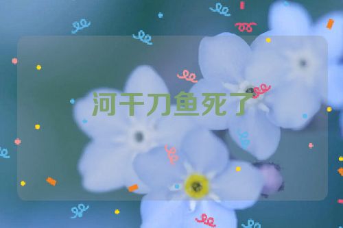 河干刀鱼死了