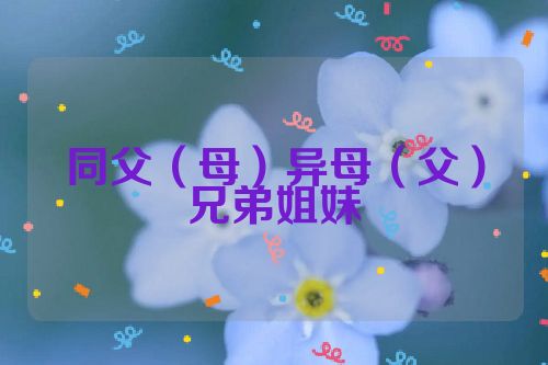 同父（母）异母（父）兄弟姐妹