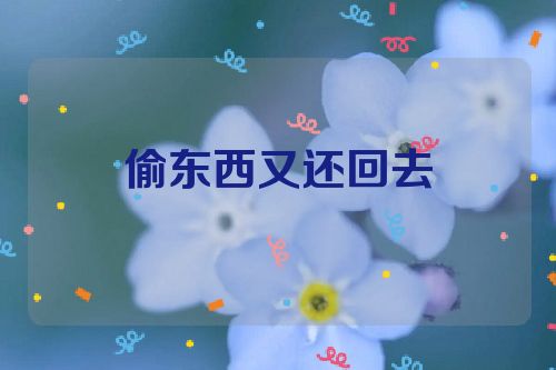 偷东西又还回去