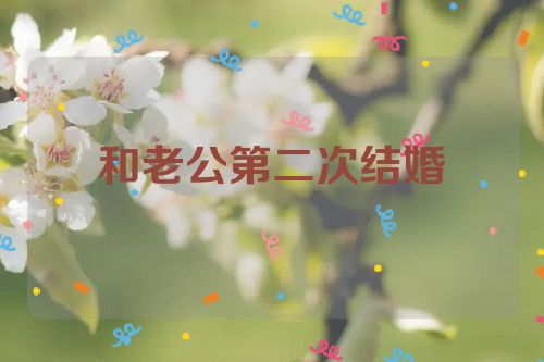 和老公第二次结婚