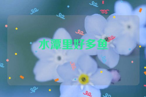 水潭里好多鱼