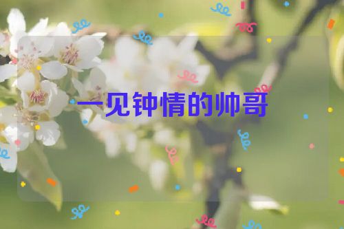 一见钟情的帅哥