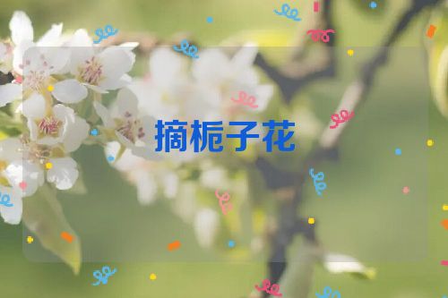 摘栀子花