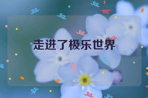 走进了极乐世界