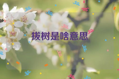 拔树是啥意思