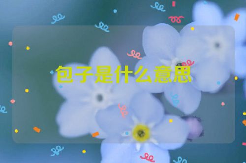 包子是什么意思