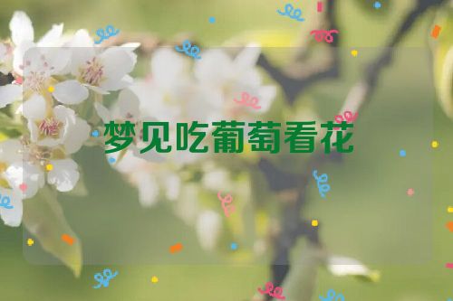 梦见吃葡萄看花