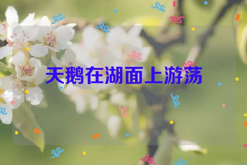 天鹅在湖面上游荡