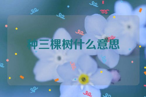 种三棵树什么意思