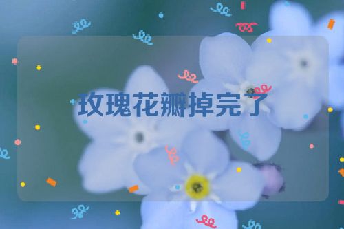 玫瑰花瓣掉完了