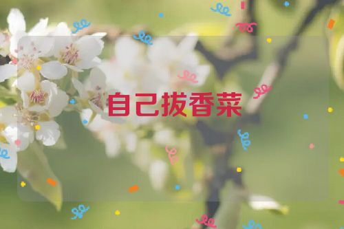 自己拔香菜