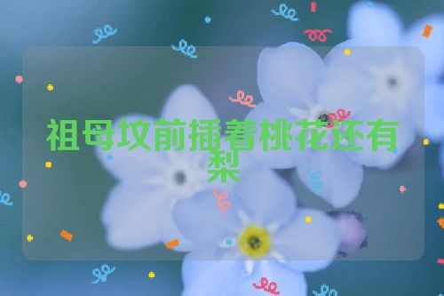 祖母坟前插着桃花还有梨