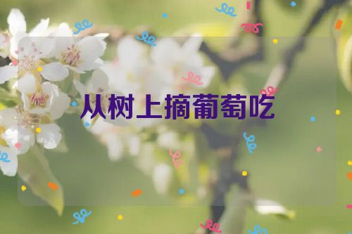 从树上摘葡萄吃