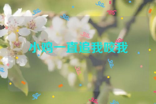 小鸡一直追我咬我