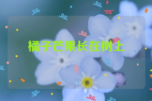 橘子芒果长在树上