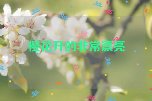 樱花开的非常漂亮