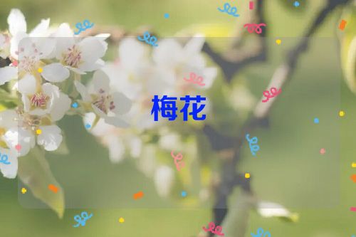 梅花