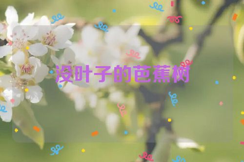 没叶子的芭蕉树