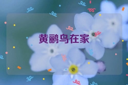 黄鹂鸟在家裡