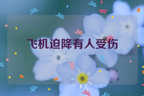 飞机迫降有人受伤