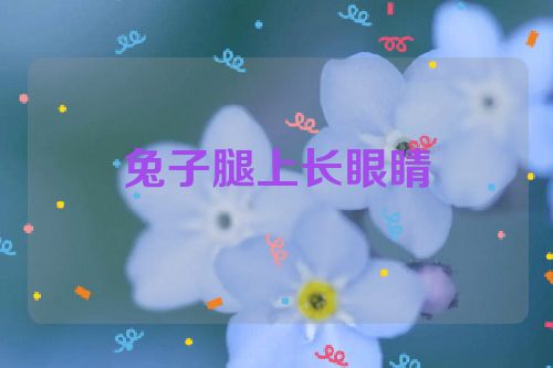 兔子腿上长眼睛