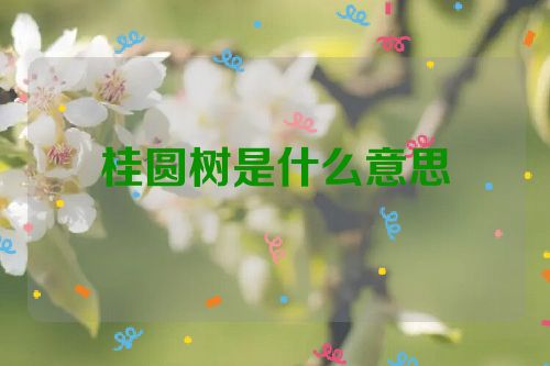 桂圆树是什么意思