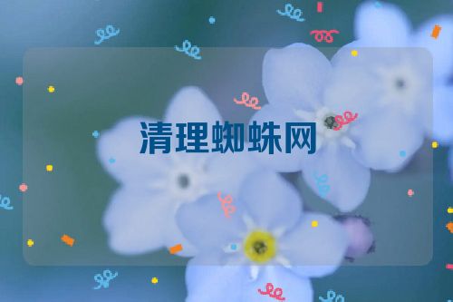 清理蜘蛛网