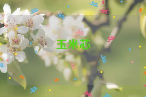 玉米芯