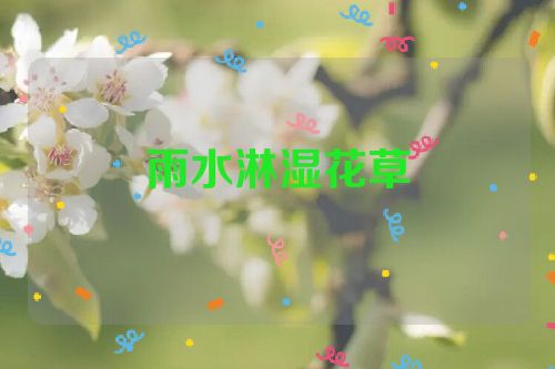 雨水淋湿花草