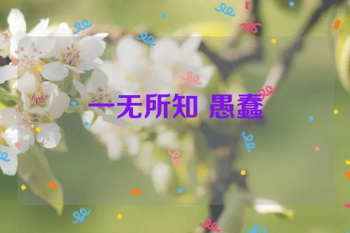 一无所知 愚蠢