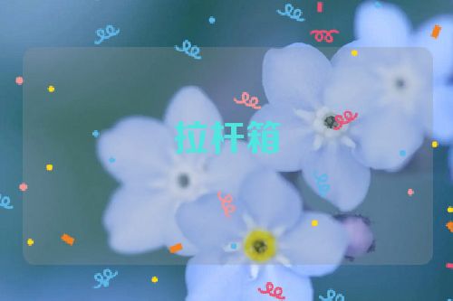 拉杆箱
