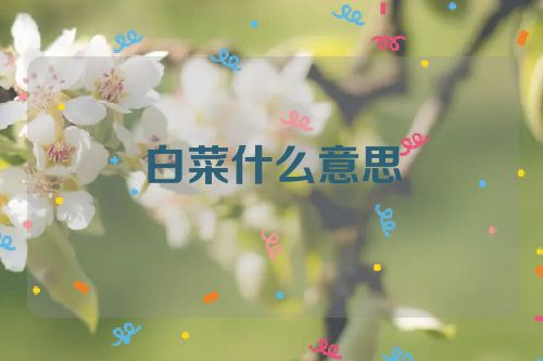 白菜什么意思