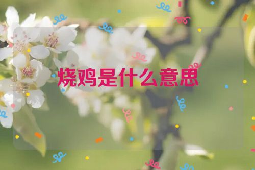 烧鸡是什么意思