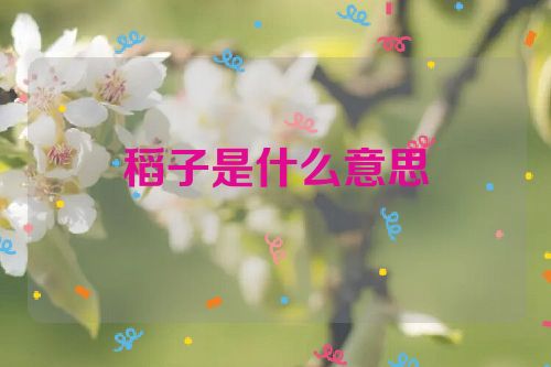 稻子是什么意思