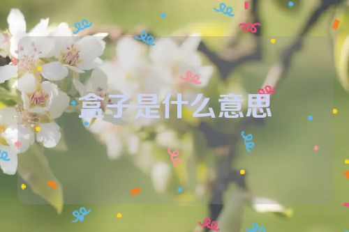 盒子是什么意思