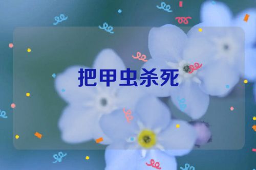 把甲虫杀死