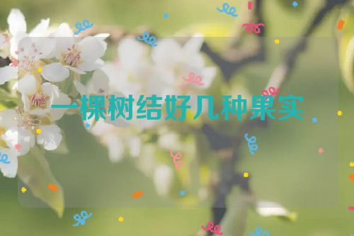 一棵树结好几种果实