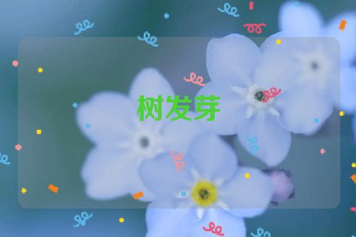 树发芽