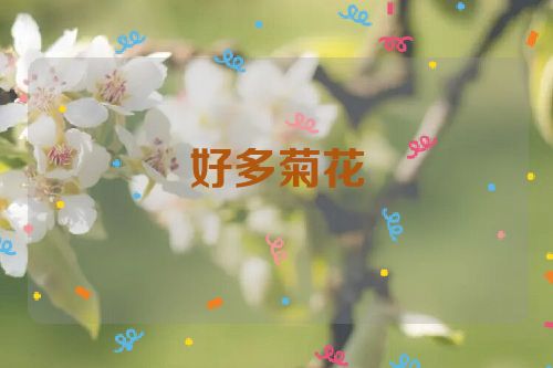 好多菊花