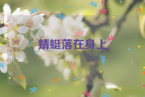 蜻蜓落在身上