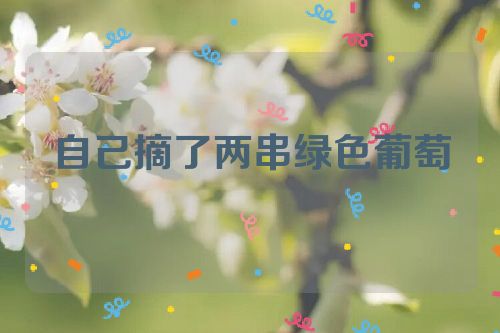 自己摘了两串绿色葡萄